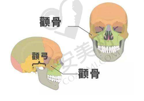 三、深圳维瑞（广尔美丽）医疗美容门诊部基本资料：