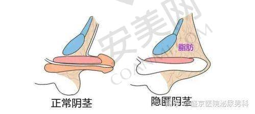 患者的真实评价