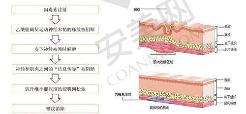 就诊前的询问与沟通是怎样的？