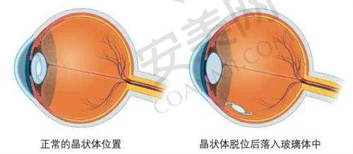 武汉同济医学院医院医疗美容的未来发展方向是什么？