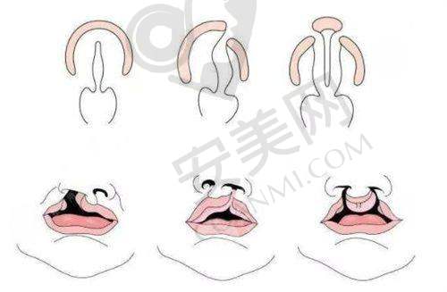 6、徐州医 科汇美付晓医生预约挂号指南