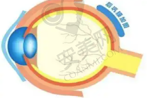 5、徐州医 科汇美付晓医生患者评价