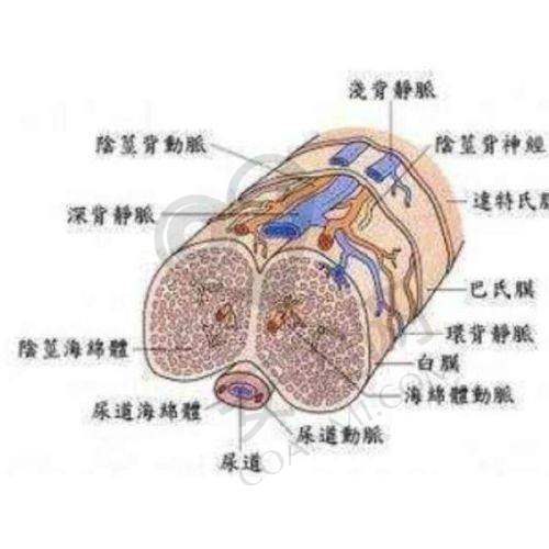承德玥莱美医疗美容医院如何打造优质医美体验？