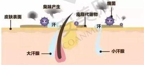 磨骨手术的术前注意事项