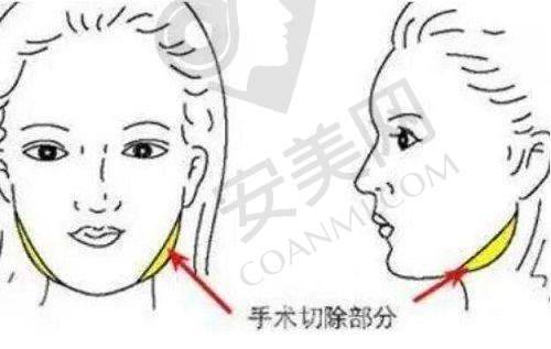 三、青岛博士医学美容医院基本资料: