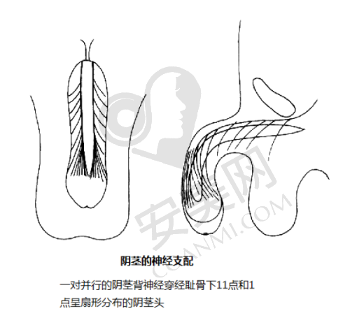 六、青岛博士医学美容医院患者评价: