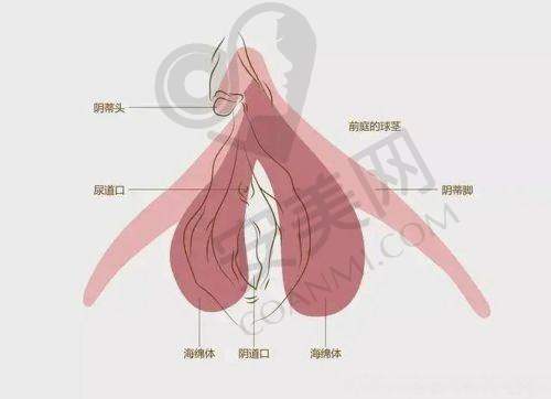 中山市人民医院整形美容科