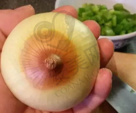 项目特色：昆明艺星和华美美莱各有什么亮点？