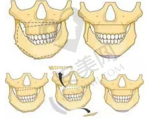 珠海中大五院医院地址及交通指引