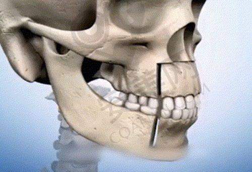 服务项目与技术特色:全方面服务,不错技术保护