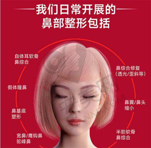 综合评价与建议