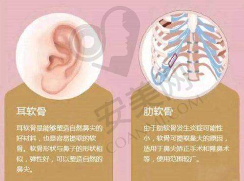 未来展望:持续创新,为更多人带来美丽与自信