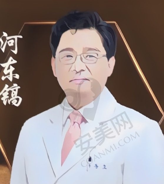河东镐